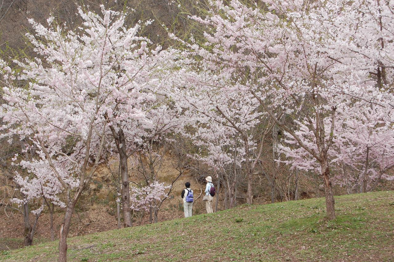 Maruyama Onsen Kojyokan Minamiuonuma Exterior photo